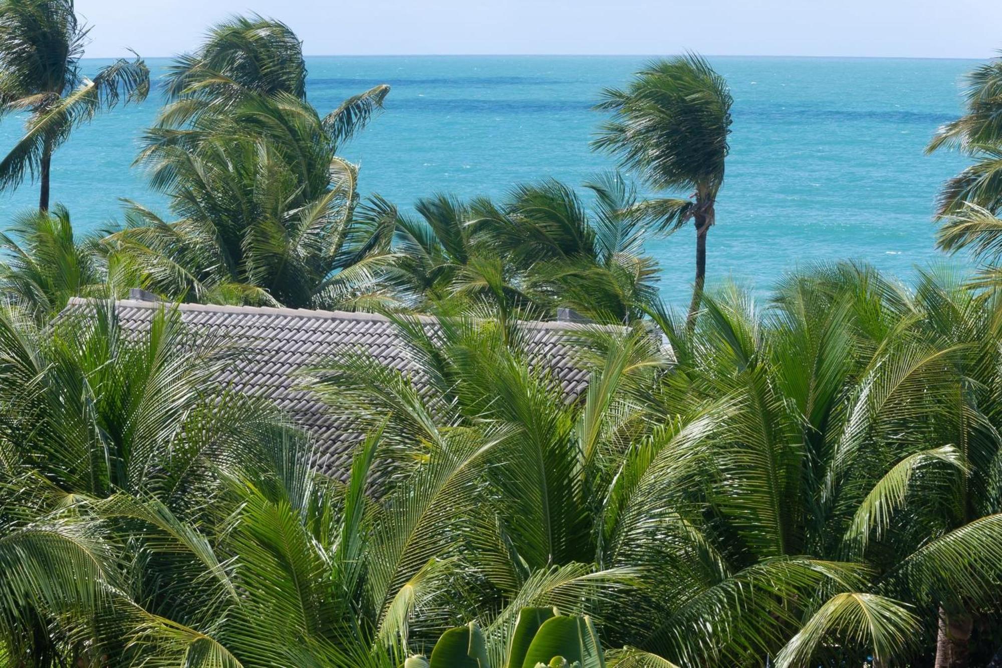 Beachclass Ecolife Por Brevelar *